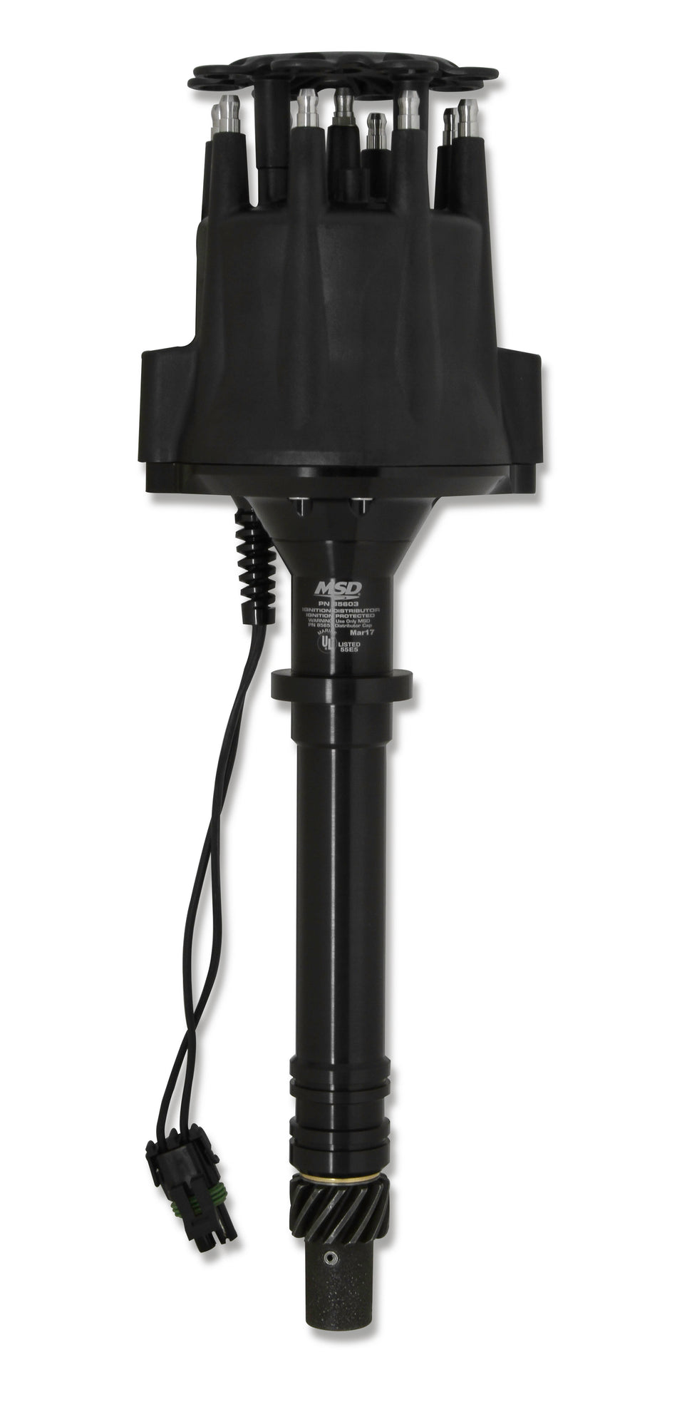 MSD85603.jpg