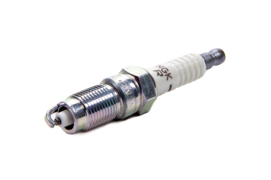 NGKTR5-1.jpg