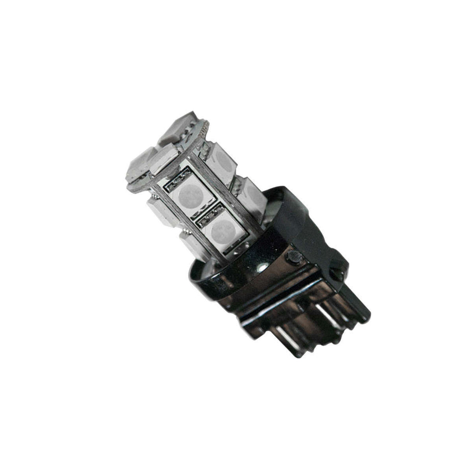 ORA5003-005.jpg