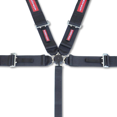 PYRSB120020.jpg