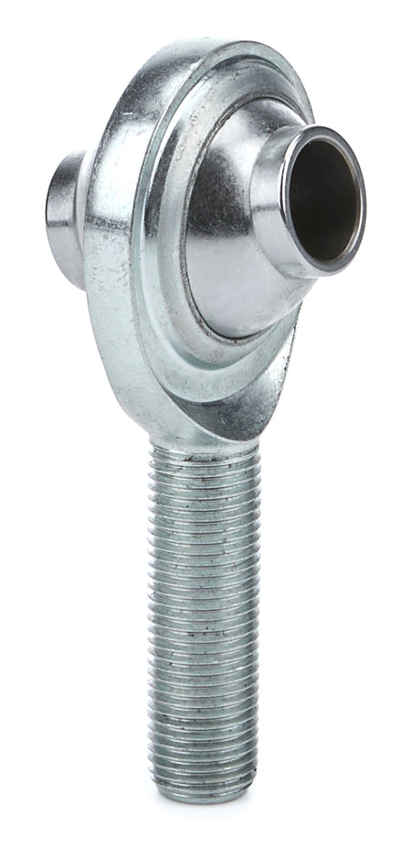 QA1PCYMR8T.jpg