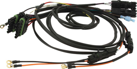 QRP50-2021.jpg