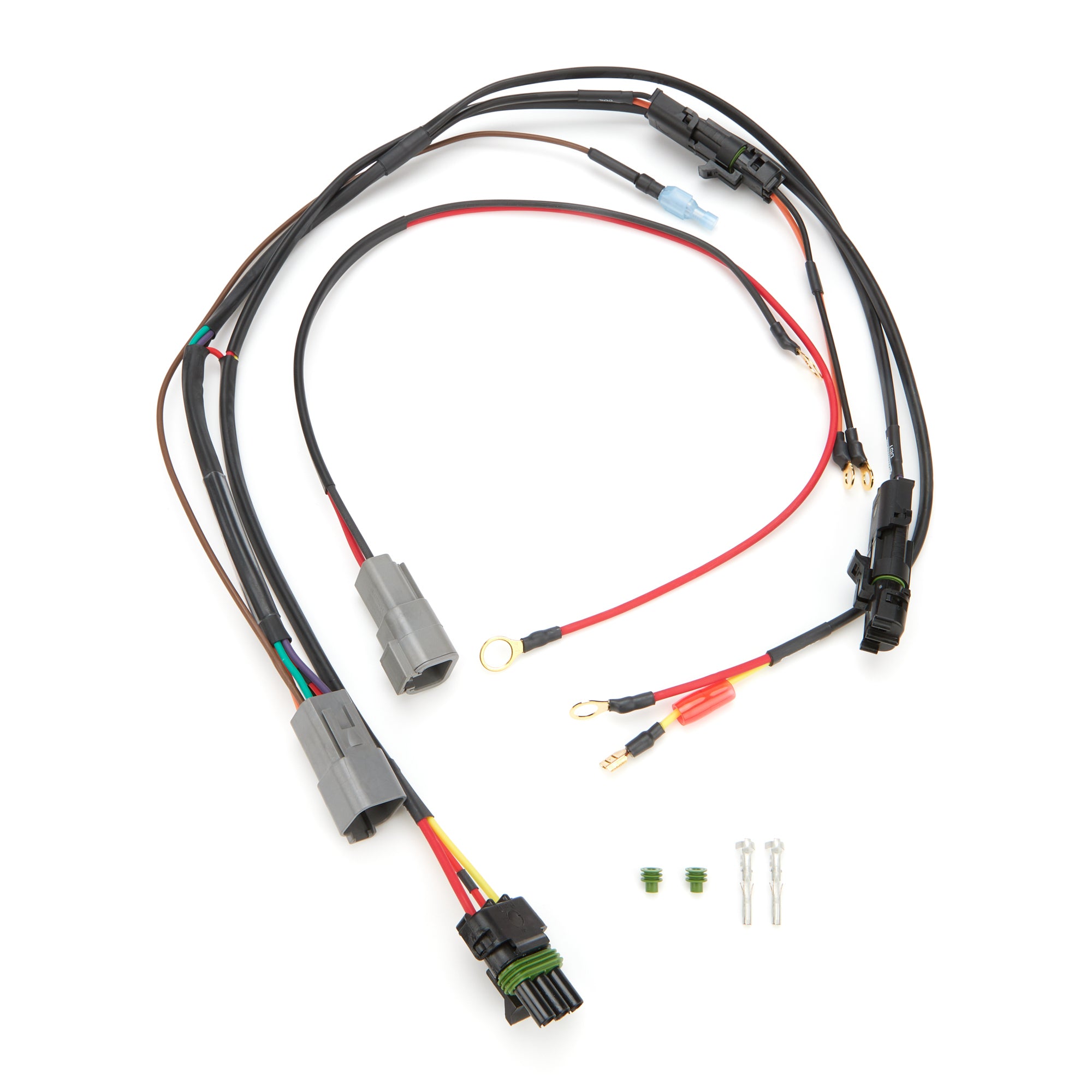 QRP50-2038.jpg