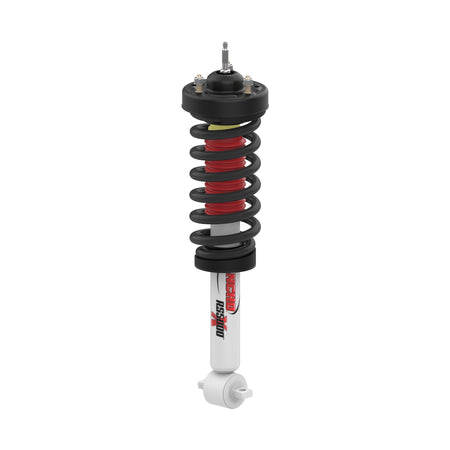 RANRS551836L.jpg