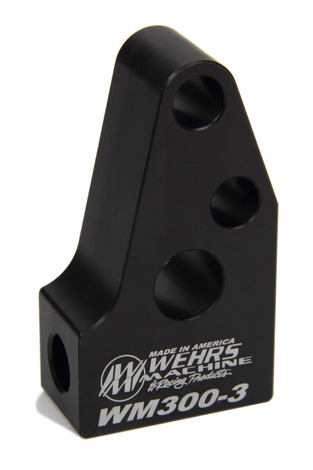 WEHWM300-3.jpg